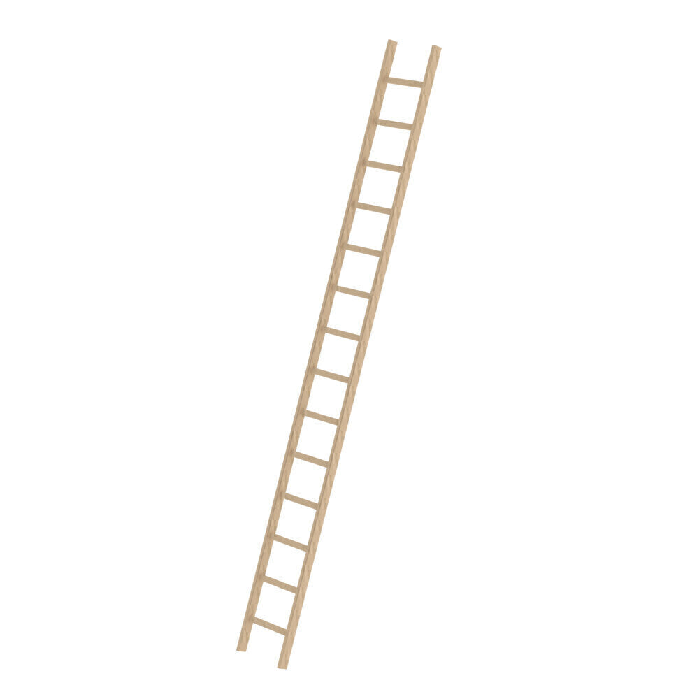 Holz-Anlegeleiter - Sprossen, 420 mm breit, mit Nivello-Traverse
