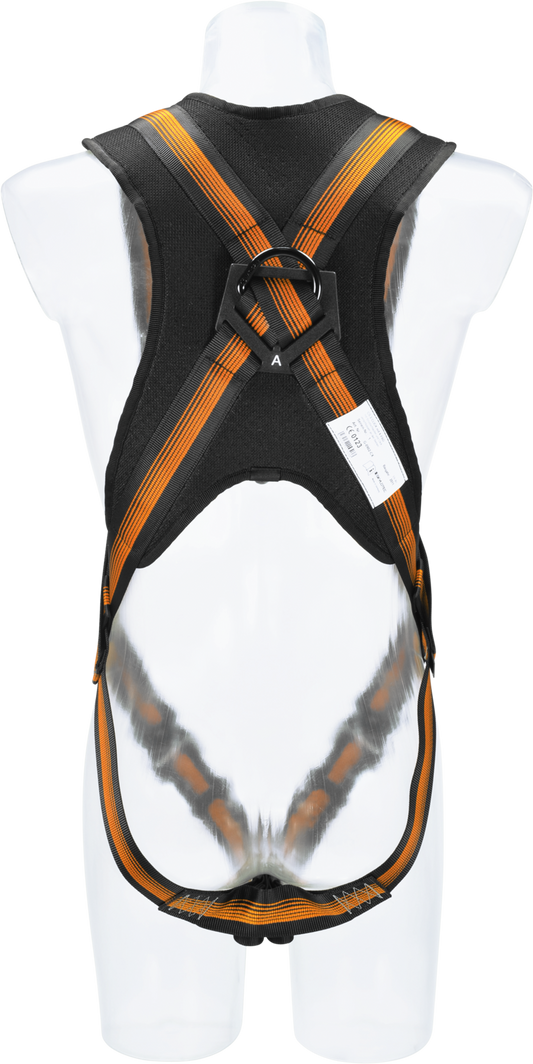CS2 - Quick - X-PAD