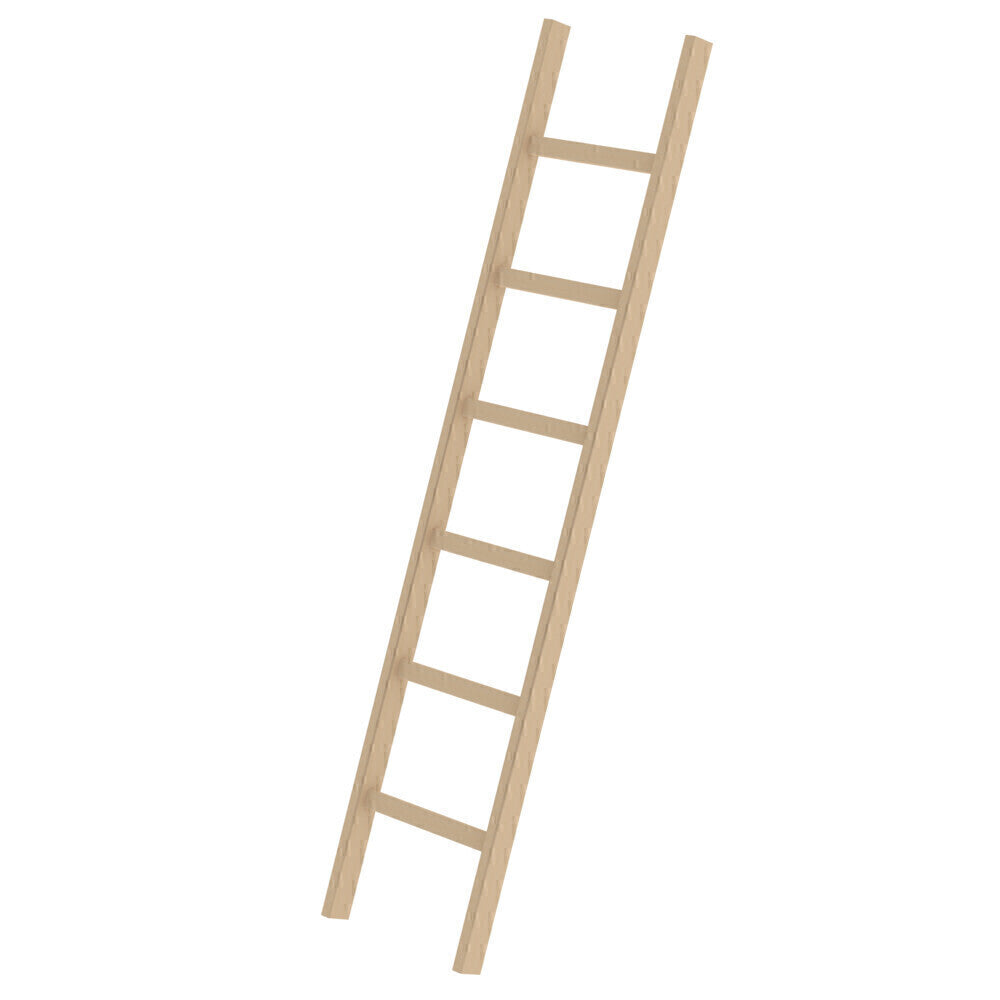Holz-Anlegeleiter - Sprossen, 420 mm breit, mit Nivello-Traverse