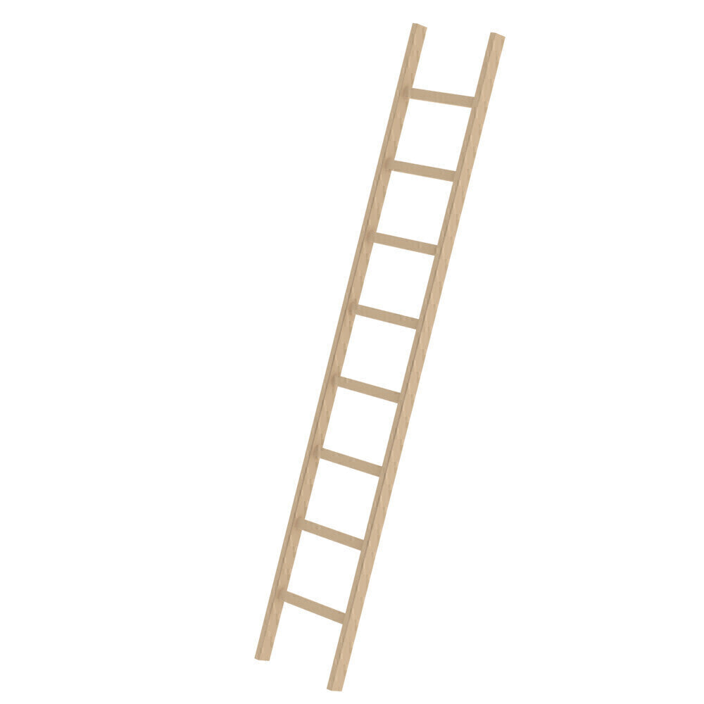 Holz-Anlegeleiter - Sprossen, 420 mm breit, mit Nivello-Traverse