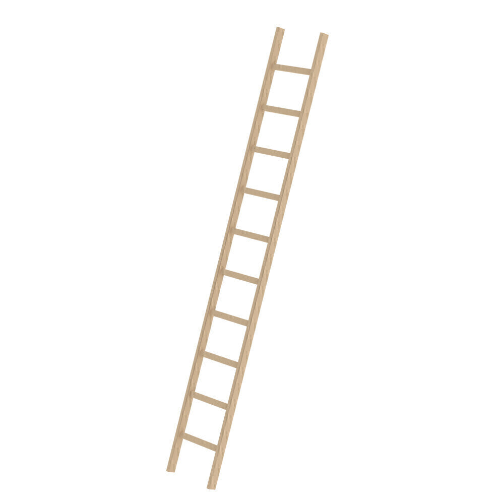Holz-Anlegeleiter - Sprossen, 420 mm breit, mit Nivello-Traverse
