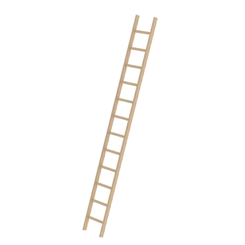 Holz-Anlegeleiter - Sprossen, 420 mm breit, mit Nivello-Traverse
