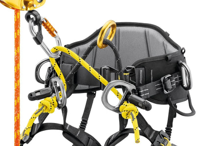 Petzl SEQUOIA (Baumpflege)